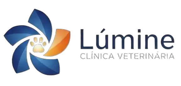 Logo Lumine